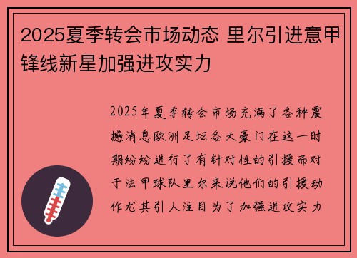 2025夏季转会市场动态 里尔引进意甲锋线新星加强进攻实力